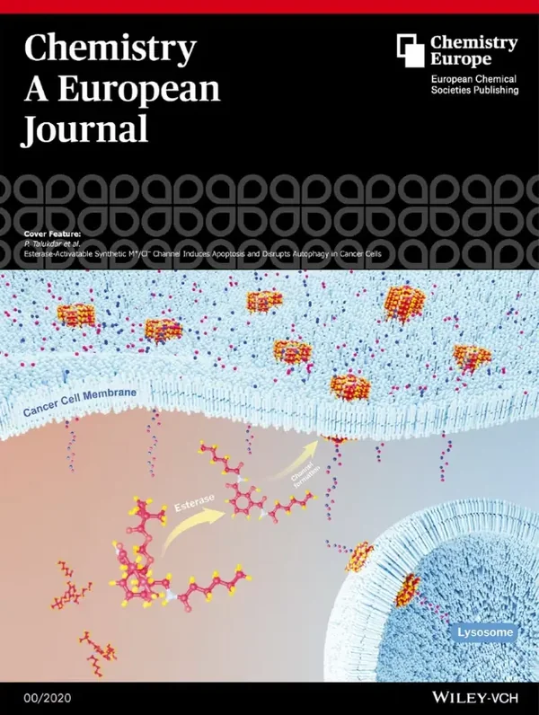 Chem. Eur. J. journal cover by Rafeeque Mavoor