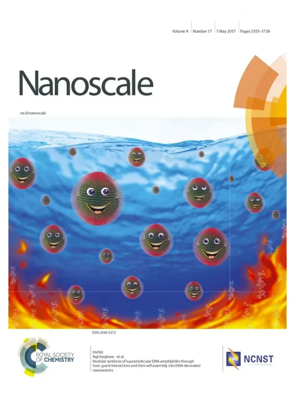 Nanoscale journal cover by Rafeeque Mavoor